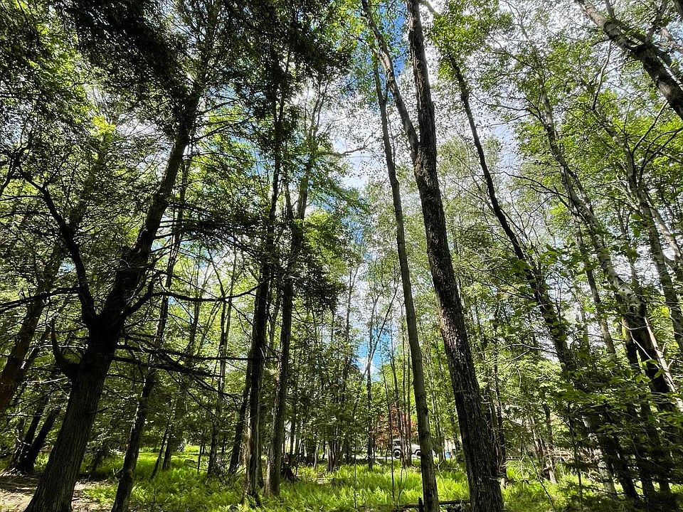 1st image of Pine Rd #67
