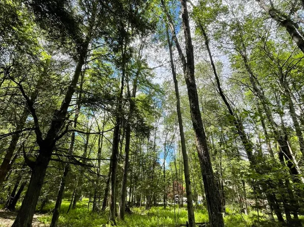 Pine Rd #67, Pocono Pines, PA 18350
