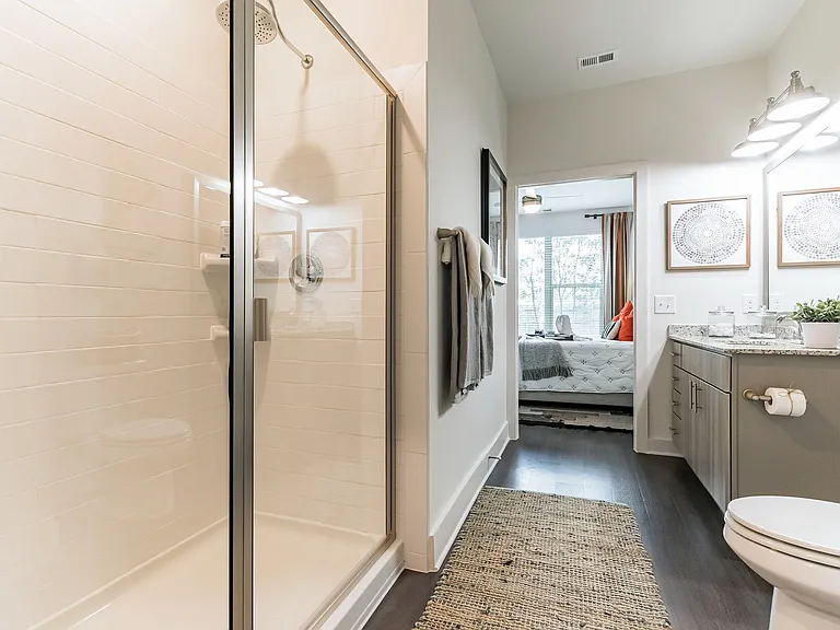Walk-in Shower with Sink/Vanity in Primary Bathroom