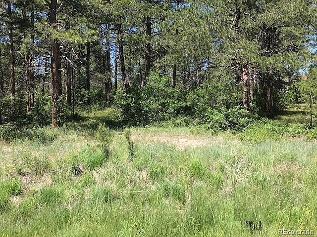 2nd image of 8019 Red Hill Rd