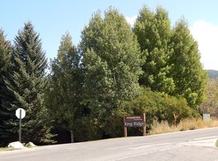 452 Snow King Loop, Jackson, WY 83001