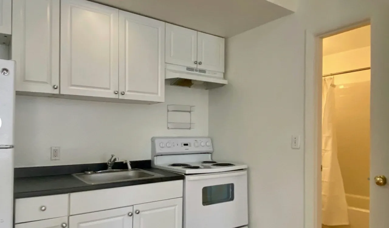 1 bed, 510 sqft, $2,950 — Photo 3