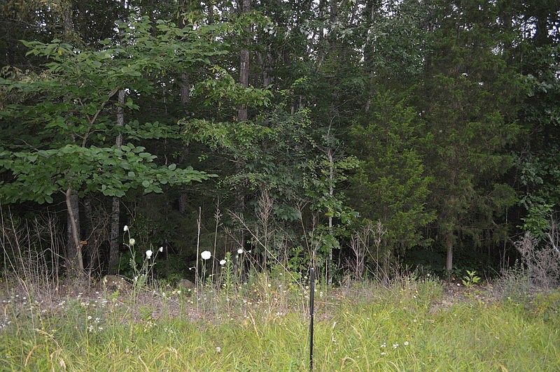 2nd image of Lot 3 Mount Pleasant Rd