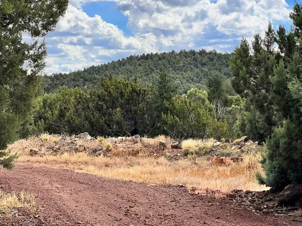 29 8620th, Concho, AZ 85924