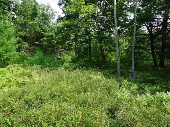 W8910 Cty Hwy J, Merrillan, WI 54754