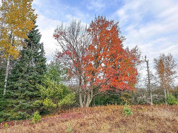5th image of 3 acres on DARLAKS BAY ROAD
