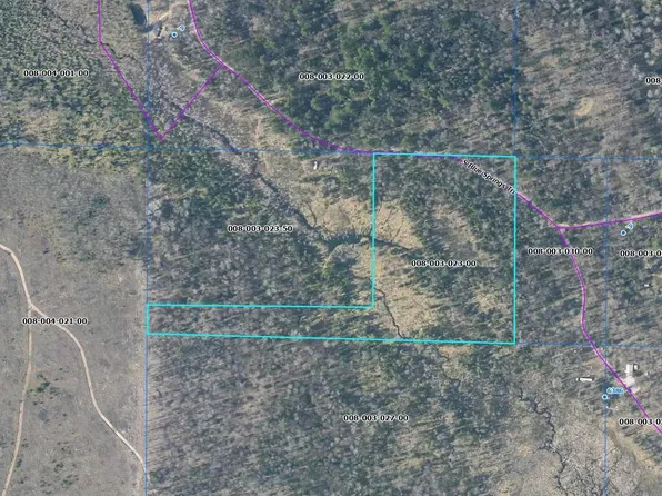 S Blue Springs Trl Lot 23, Falmouth, MI 49632