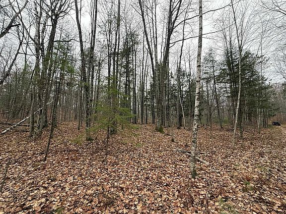 2nd image of Roush Rd