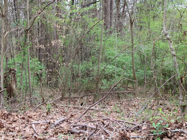7313 Marble Springs Rd, Knoxville, TN 37920