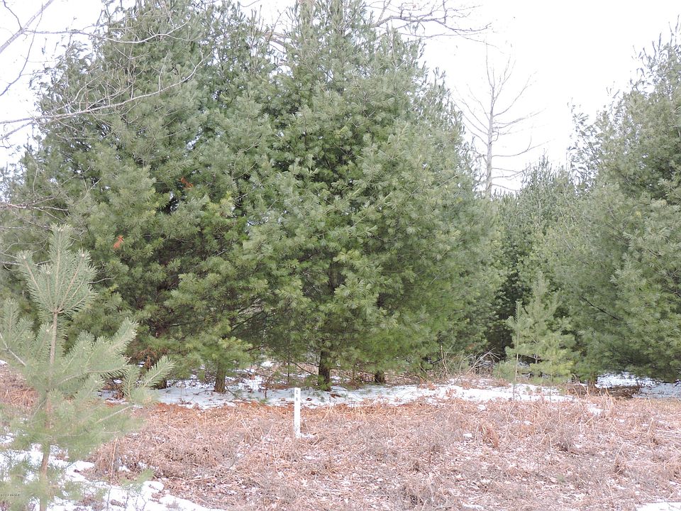 1st image of 6254 Abbey Ln #28