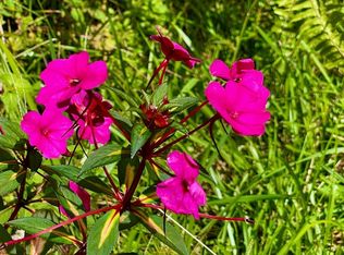 Makoa Rd, Volcano, HI 96785