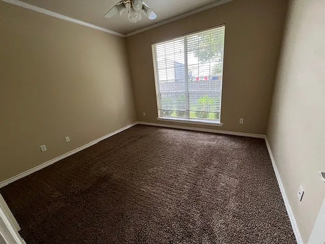 3117 Campus Cir — Photo 12