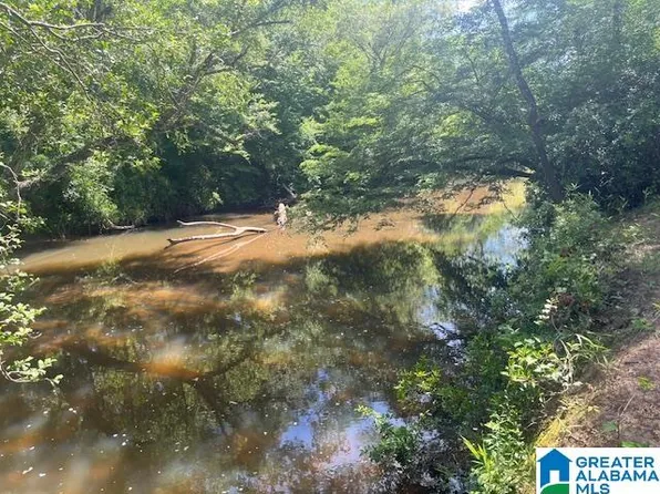 Pate Rd Lot 4, Cragford, AL 36255