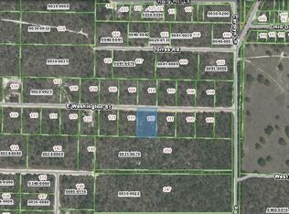115 W Washington St, Hawthorne, FL 32640