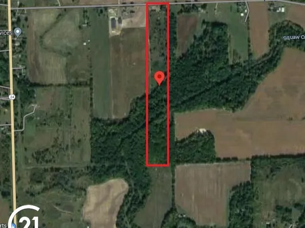 1248 Squaw Creek Rd, Fostoria, MI 48435