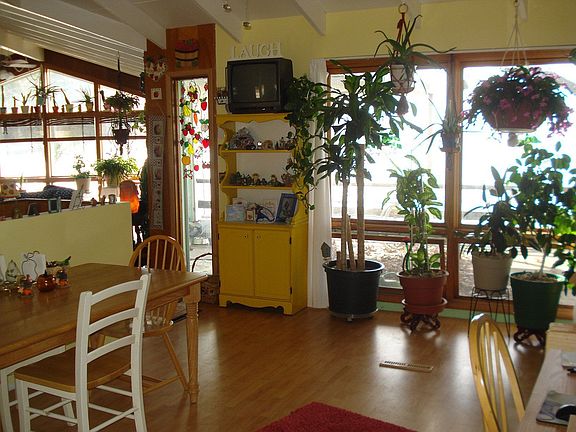 Big beautiful windows throughout the house