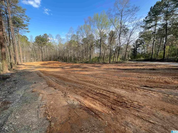 0 County Road 384 #63715, Cullman, AL 35057