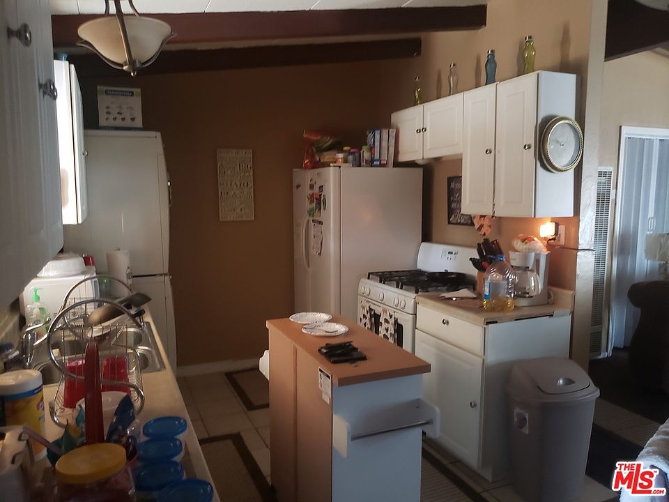 2nd image of Yucca Tree St