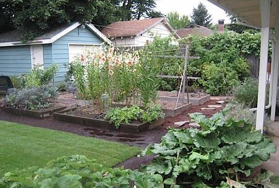 Garden