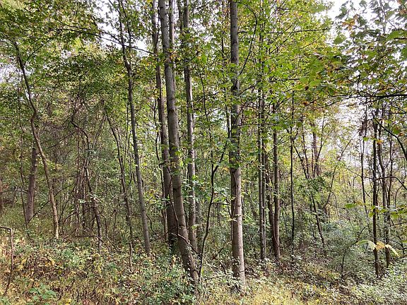 4th image of 14588 County Road 14 Lot Wp 002