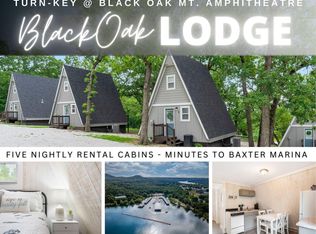 288 Black Oak Resort Lane, Lampe, MO 65681