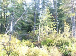 3511 NE Tahuya Blacksmith Rd, Tahuya, WA 98588