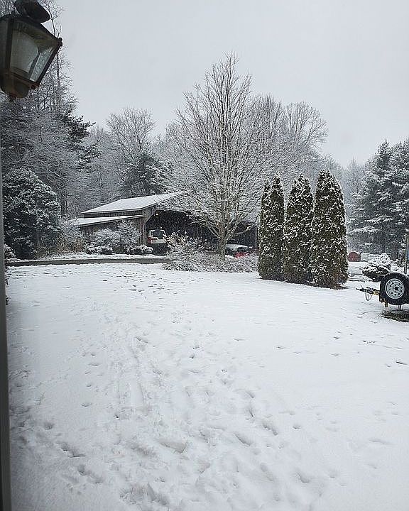 Backyard view of pole barn
