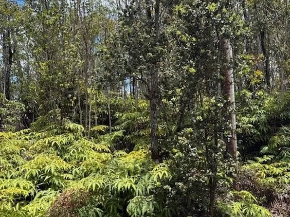 11-3102 Mokuna St #A, Volcano, HI 96785