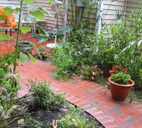 patio and backyard