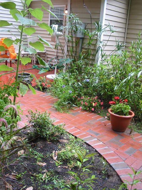 patio and backyard
