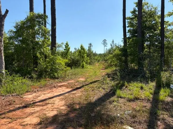 4 Rose Hill Rd #4, Dozier, AL 36028