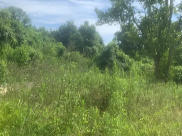 Allen Brown Ln, Jackson, LA 70748