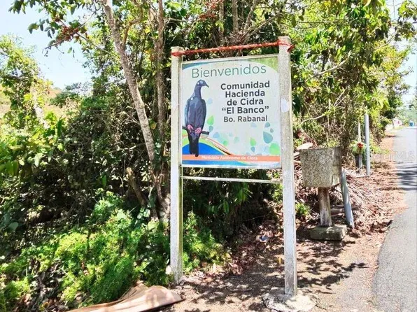 Hacienda De Cidra Rabanal Parcela #32, Cidra, PR 00739