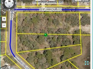 13098 Marbled Godwit Rd, Weeki Wachee, FL 34614