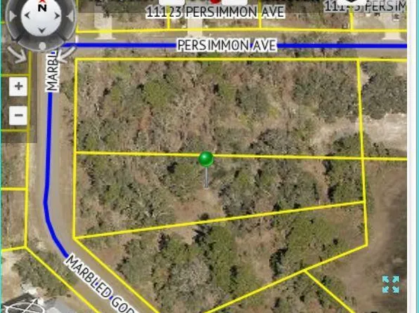 13098 Marbled Godwit Rd, Weeki Wachee, FL 34614