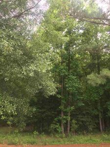200 Gin House Rd, Greer, SC, 29651
