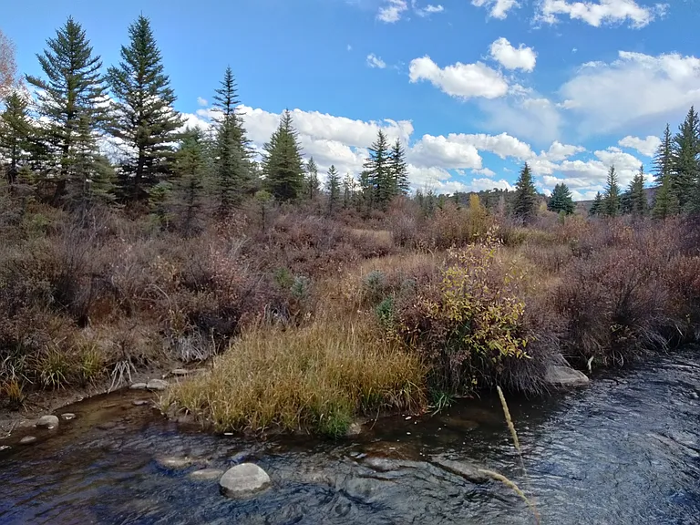1532 Snowmass Creek Rd — Photo 10