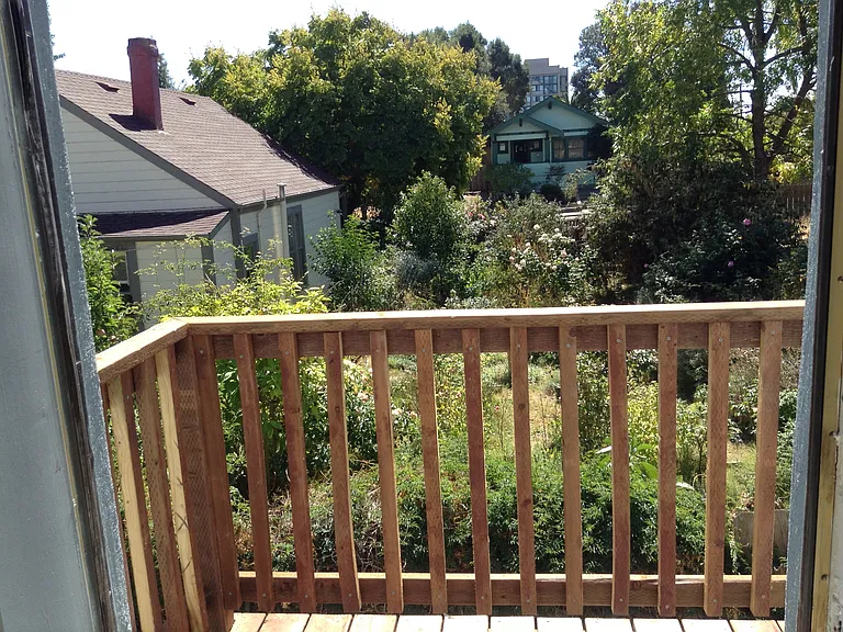 back deck view