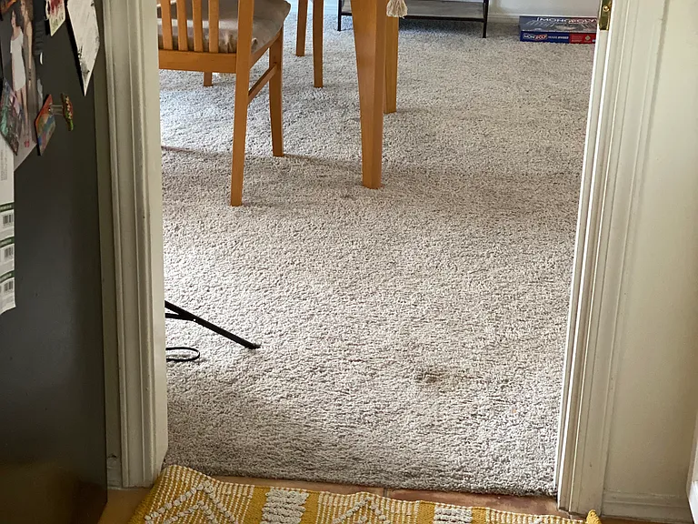 6825 Vivian Dr NE — Photo 12