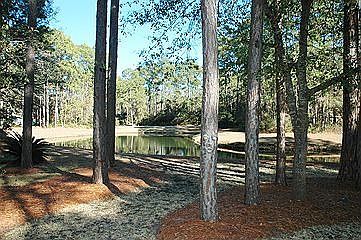 3rd image of 17 Yellow Rail Ln