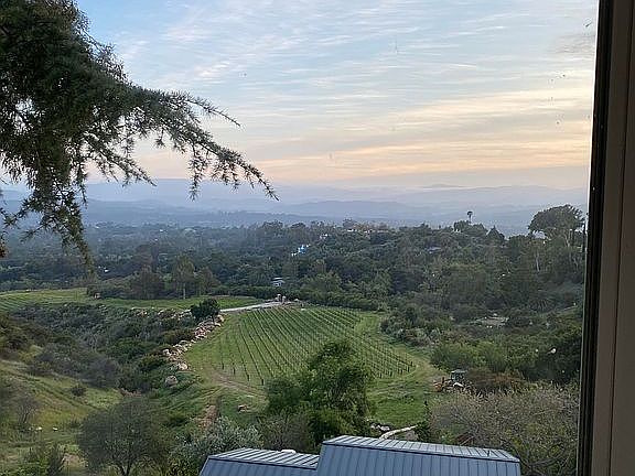 Southwest vineyard view