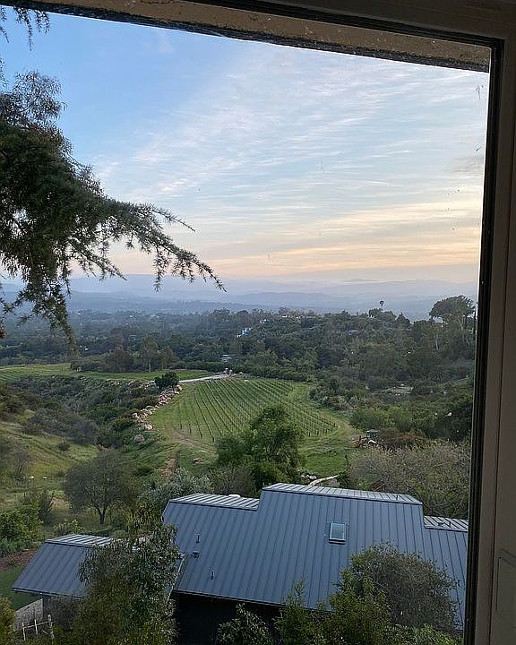 Southwest vineyard view