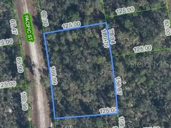 719 Pacific St Lot 7, Lake Placid, FL 33852