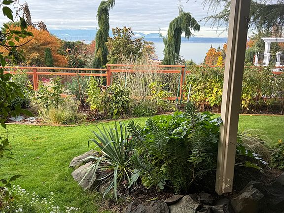 Yard view from Entrance