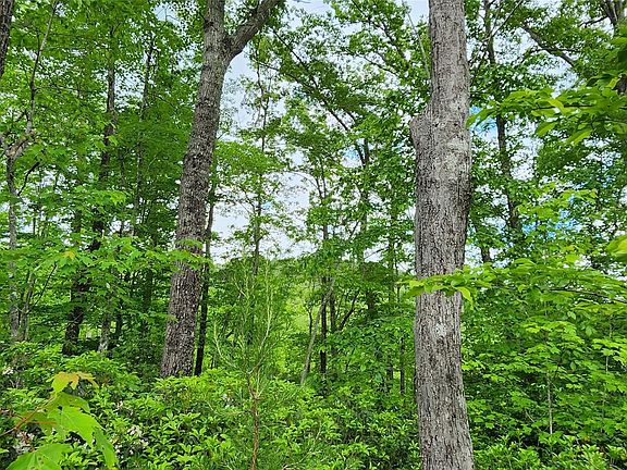 4th image of 3 Cross Creek Trl