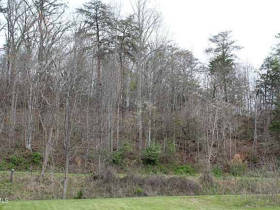 4th image of 1 Reeds Creek Rd