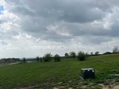 101 Alexander Ct, Cresson, TX, 76035
