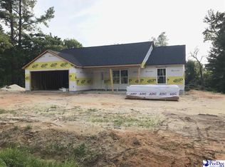 2216 Byrdtown Rd, Hartsville, SC 29550