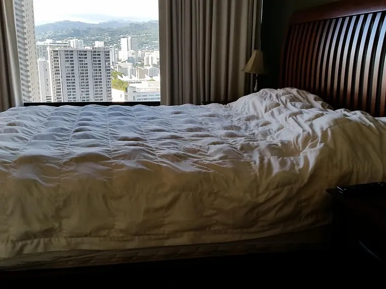 1778 Ala Moana Blvd #2517 — Photo 9