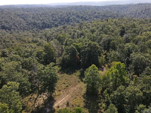 (undisclosed Address), Harriet, AR 72639